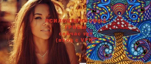 молекула духа Гусев