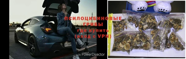 тгк Гусь-Хрустальный