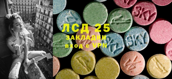 индика Гусиноозёрск