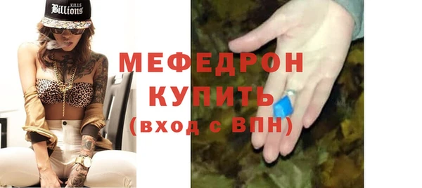 индика Гусиноозёрск