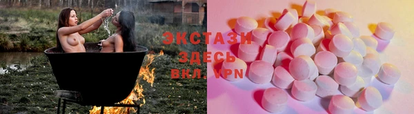 ГАЛЛЮЦИНОГЕННЫЕ ГРИБЫ Дмитриев