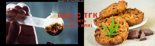 индика Гусиноозёрск