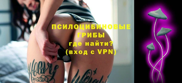 индика Гусиноозёрск