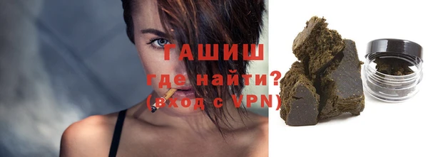 индика Гусиноозёрск