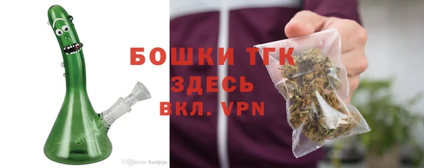 индика Гусиноозёрск