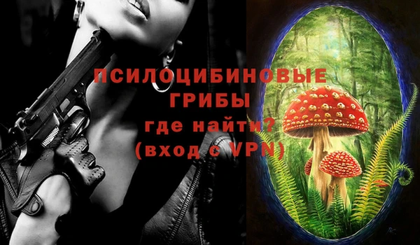индика Гусиноозёрск