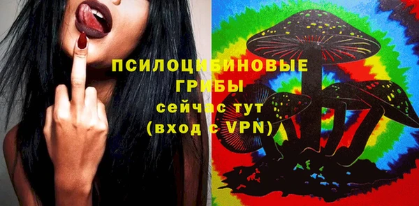 тгк Гусь-Хрустальный