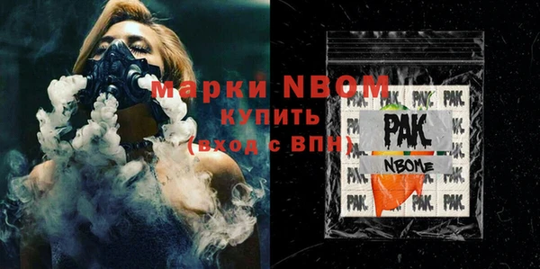 ГАЛЛЮЦИНОГЕННЫЕ ГРИБЫ Дмитриев