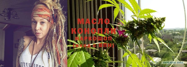 молекула духа Гусев
