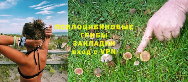 ГАЛЛЮЦИНОГЕННЫЕ ГРИБЫ Дмитриев