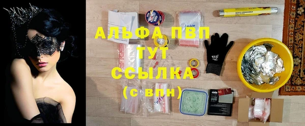 молекула духа Гусев