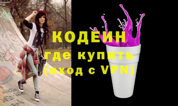 индика Гусиноозёрск