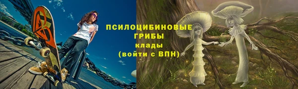 индика Гусиноозёрск